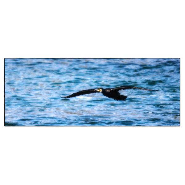 PHOTO84, CLUB, 84 , LUBERON